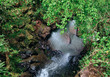 Top view of a cascade in the jungle