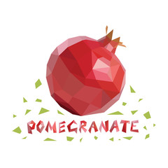 Wall Mural - Low poly pomegranate on white background. Poligonal vector illustration.