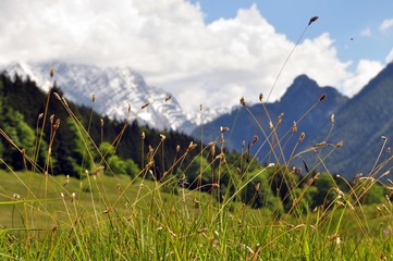 Canvas Print - Unterwegs zur Modaualm im Berchtesgadener Land