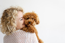 Adorable Toy Poodle Puppy In Arms Of Its Loving Owner. Small Adorable Doggy With Funny Curly Fur With Adult Woman. Close Up, Copy Space.