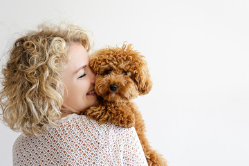 Adorable toy poodle puppy in arms of its loving owner. Small adorable doggy with funny curly fur with adult woman. Close up, copy space.