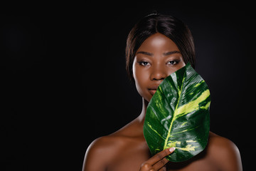 african american naked woman with green exotic leaf isolated on black