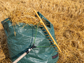 straw harvest in the field