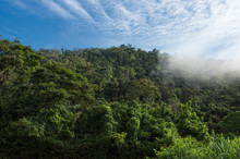 Caratinga Atlantic Forest Landscape, Minas Gerais, Brazil