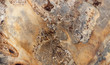 Abstraktes Muster einer braunen Schiefer Steinplatte in Nahaufnahme