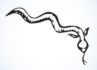 Wall Mural - Eel. Vector drawing. Sea fish icon