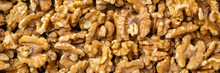 Shelled English Walnuts Background - Superfood Concept, Panoramic Web Banner