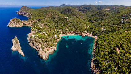 Canvas Print - Cala Saladeta beach, Ibiza island. Spain.