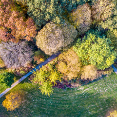 Poster - city park in october  autumn colors