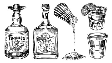 tequila bottles and salt shaker. glass shots with alcoholic drink and lime. engraved hand drawn vint