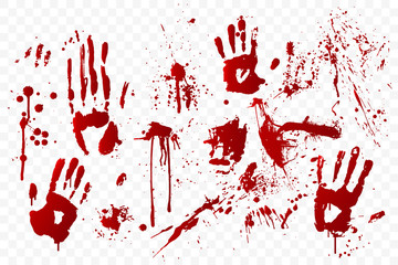 Fototapeta vector blood stain and bloody handprints isolated on transparent background. red paint splashes. crime scene. vampire bite. halloween decoration element. horror backdrop. vector illustration.