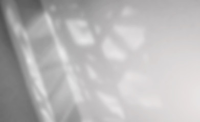 Poster - Abstract Blurred background, white-gray background with reflective walls For the design and layout of the book as wallpaper, computer screen background