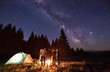 © anatoliy_gleb - Back view group of five tourists standing around burning bonfire near two tents against backdrop pine forest under starry sky. Dark night sky strewn with bright stars and Milky Way is visible on it.