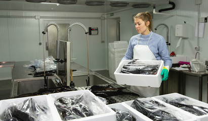 Female fish farm worker washing and packing freshly caught sturgeon