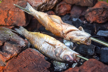 two fish on skewers on  grill barbecue burning charcoal