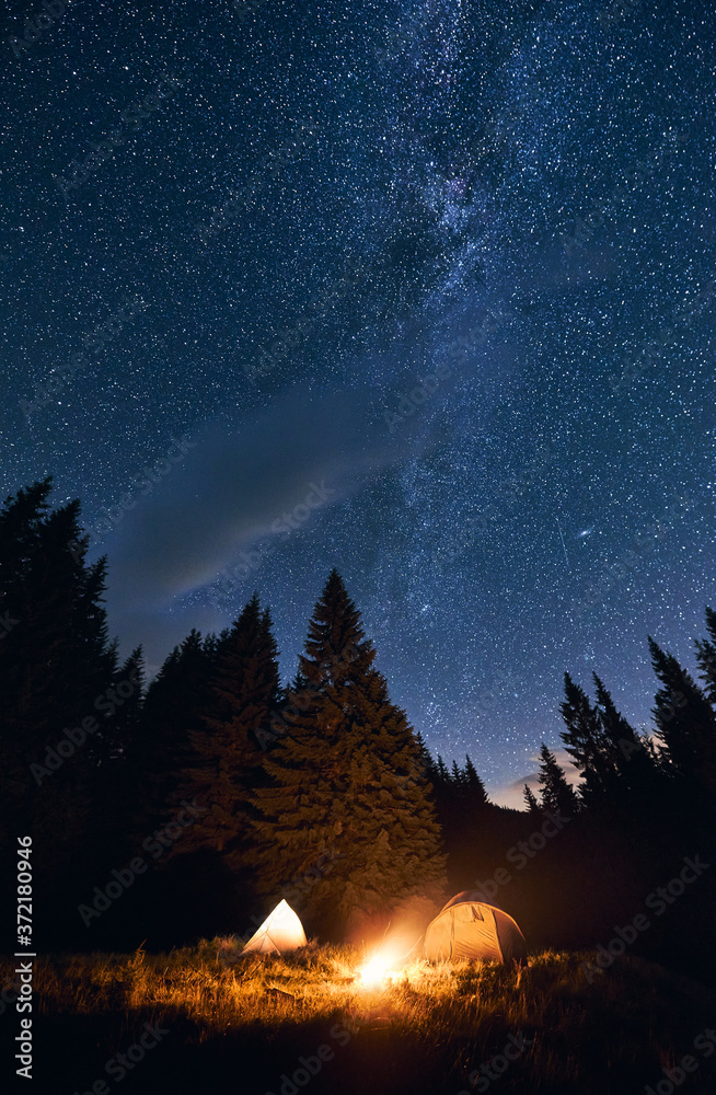 Bright night sky is strewn with stars and the Milky Way is visible on it. Silhouettes of huge fir trees add magic to the landscape. Camping in pine forest with burning bonfire near two tourist tents - obrazy, fototapety, plakaty 