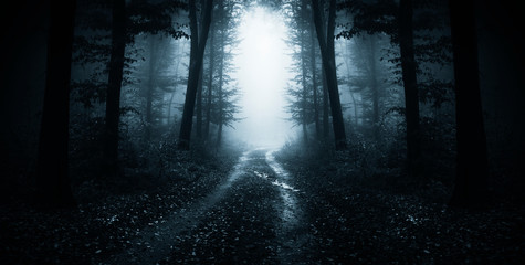 Wall Mural - dark road through fantasy forest at night, scary halloween landscape