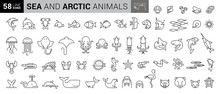 Sea Creatures Line Icon Set. Set Of Line Icons On White Background. Maritime Concept. Shell, Turtle, Fish, Whale. Vector Illustration Can Be Used For Topics Like Sea, Ocean