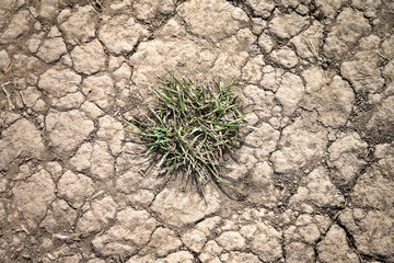 Trockenheit im Klimawandel