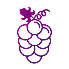 Sticker - grapes fresh fruits gradient style icon