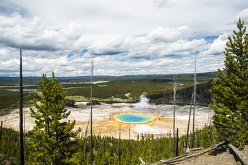 Wall Mural - Grand Prismatic Spring in Yellowstone