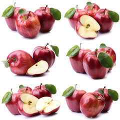 Sticker - Red apples on white background