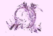 Pink And Purple Splashes. Glossy And Light Blurred Base For Web And Print