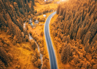 Wall Mural - aerial view of road in beautiful orange forest at sunset in autumn. colorful landscape with roadway,