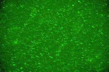 Green shiny and rippling surface. Blurred abstract background for design and decoration.Glossy light texture. green base for web and print