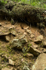 Wall Mural - detail of soil in mountains