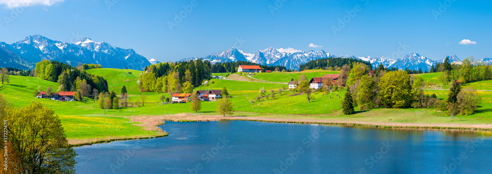 rural landscape in Bavaria at springtime - obrazy, fototapety, plakaty 