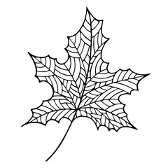 autumn leaf vector graphic. doodle line art element for design, decor, print, web, coloring books. o