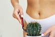 A woman shaves a cactus with a razor against the background of her panties. Concept of woman female shaving. creative idea, hygiene bodycare, depilation equipment