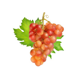 Wall Mural - a bunch of pink grapes with green leaves on a white background