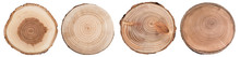 Wood Slice Cross Section With Tree Rings   Isolated On Whitte Background. Set Of Tree Ring Slice, Stump Circular.
