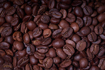 coffee beans close-up on a dark background