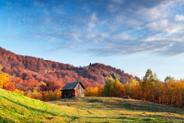 Wall Mural - picturesque autumn meadow with wooden house and red beech trees in the carpathian mountains, ukraine