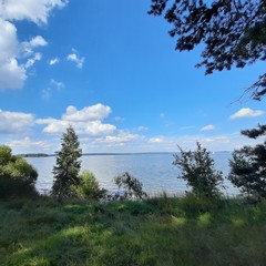 Wall Mural - Baltic landscape with forest and lake shore