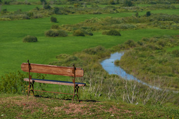 A bench in the park, natural green background.