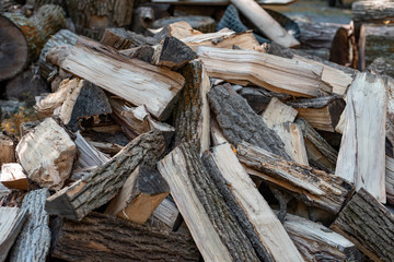 Outdoor shot of a stacked pile of firewood lit by beautiful warm rays of sunlight, feedstock