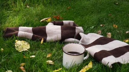 Wall Mural - Cup of coffee and scarf on a grass in a autumn