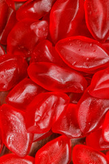 Aufkleber - colored jelly marmalade. sweet dessert . High quality photo