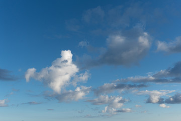 Canvas Print - A Sunny blue sky