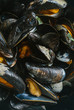 © MyMicrostock/Stocksy - Mussels background