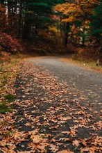 Road With Leaves On The Ground In The Fall