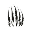 Claws scratches, torn paper trails. Vector wild animal sharp claw slash marks
