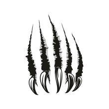 Claws Scratches, Torn Paper Trails. Vector Wild Animal Sharp Claw Slash Marks