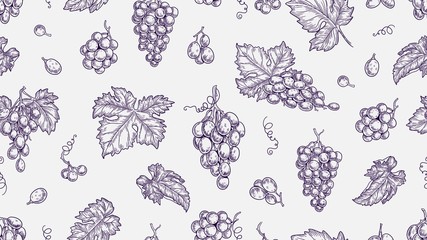 Poster - grape pattern. vine seamless texture, plants and leaves. sketch vineyard and wine raw elements vecto