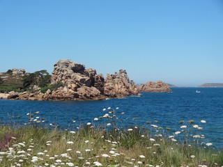 Sticker - Côte de granit rose, sentier des douaniers, Perros Guirec, Côtes d'Armor, Bretagne, France