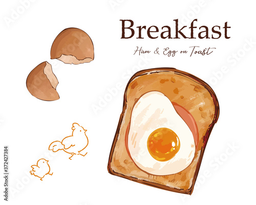 おしゃれなハムエッグトーストの手描きイラスト Stock Vector Adobe Stock おしゃれなハムエッグトーストの手描きイラスト Stock Vector Adobe Stock